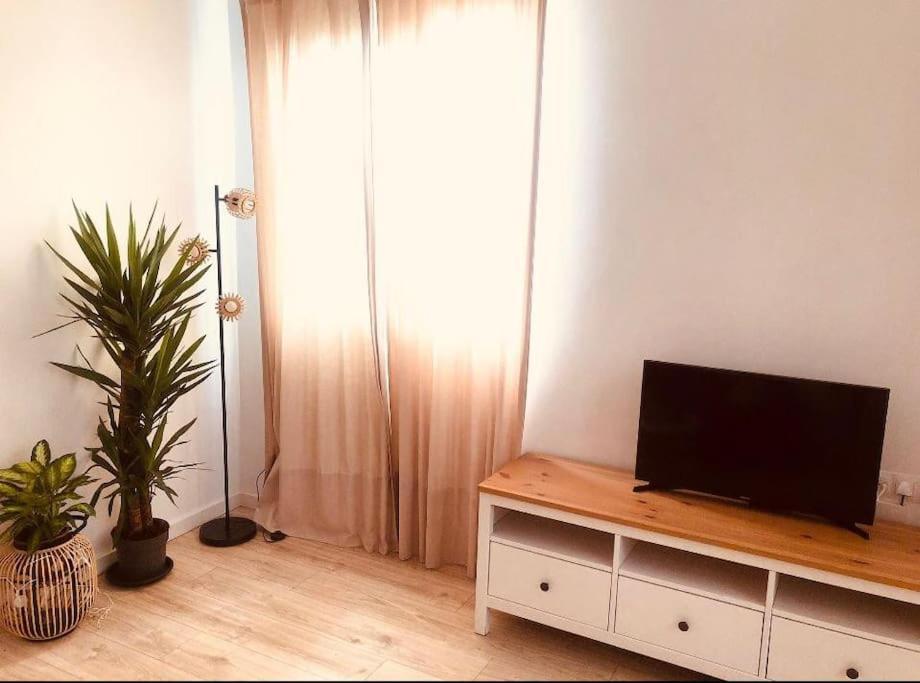 Disfruta, Nuevo En Mentidero Apartment Cádiz Exterior foto