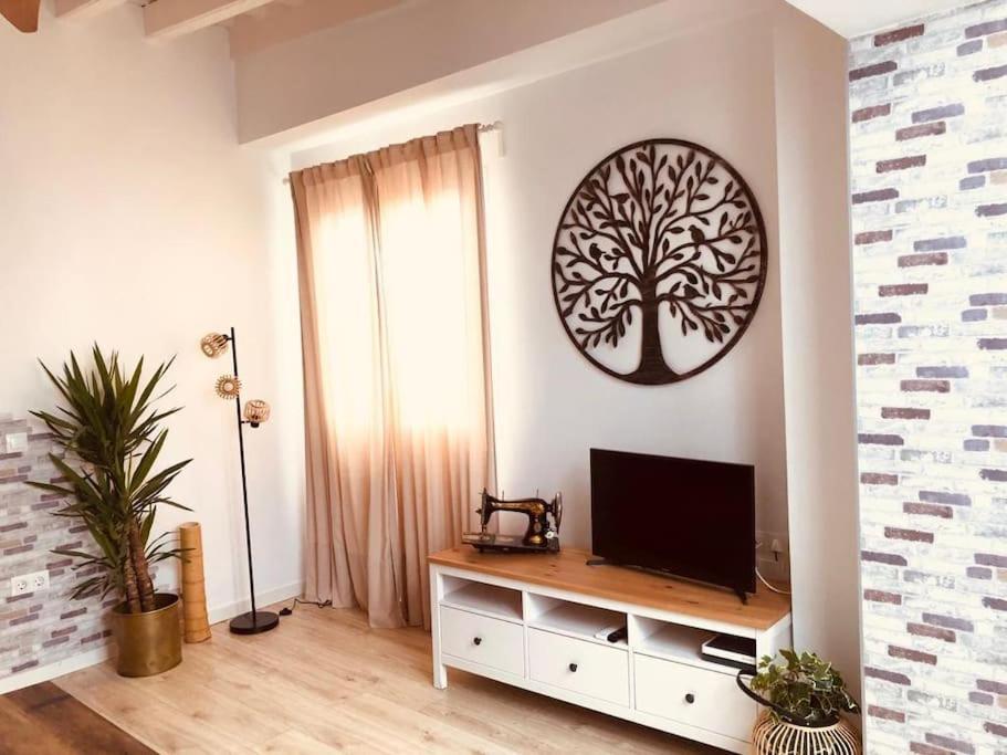 Disfruta, Nuevo En Mentidero Apartment Cádiz Exterior foto